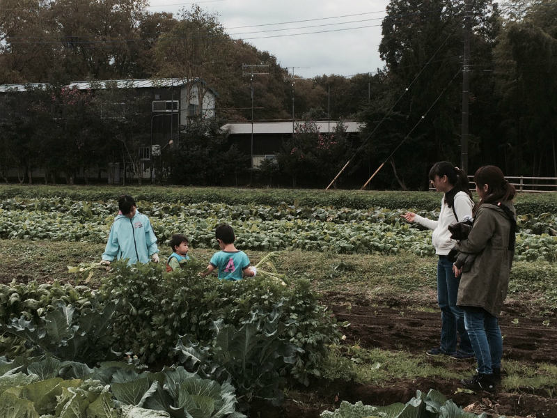 秋野菜の収穫体験　『畑でファー！』　アグリライフ倶楽部